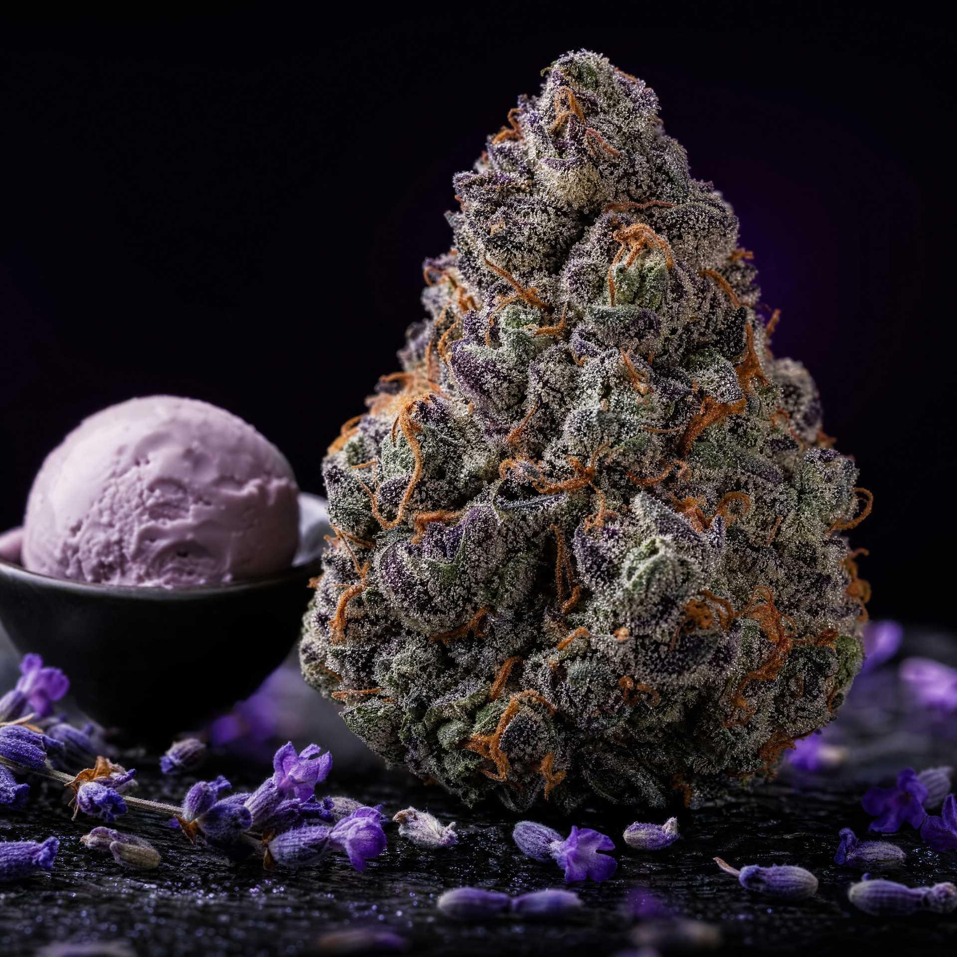 GELATO