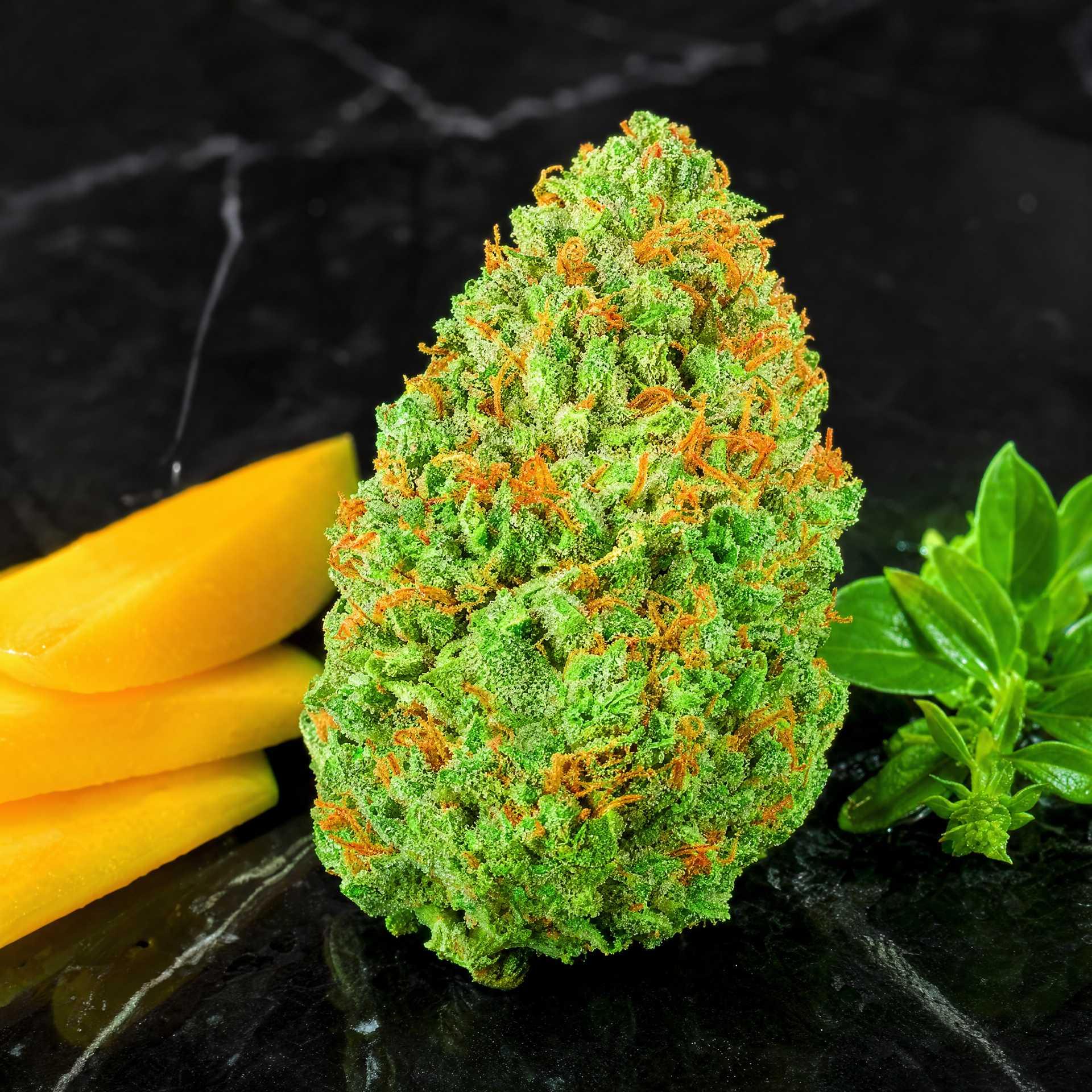 GREEN CRACK