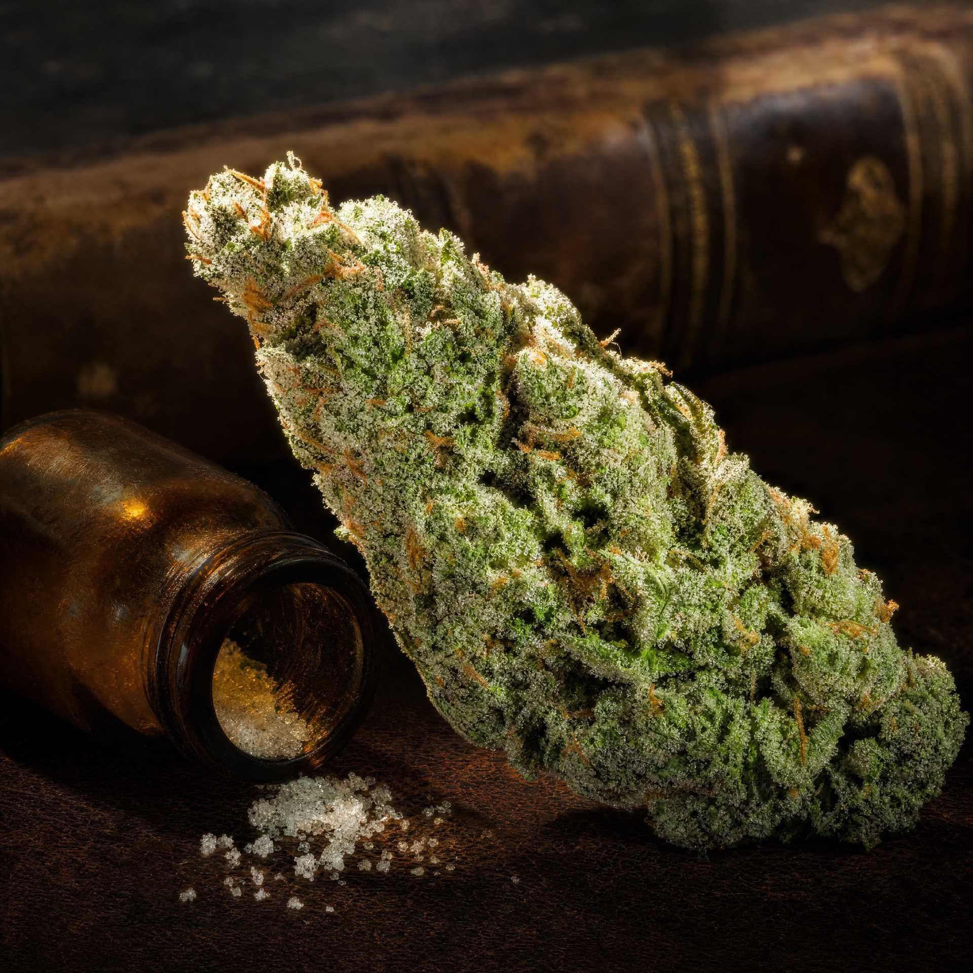 JACK HERER