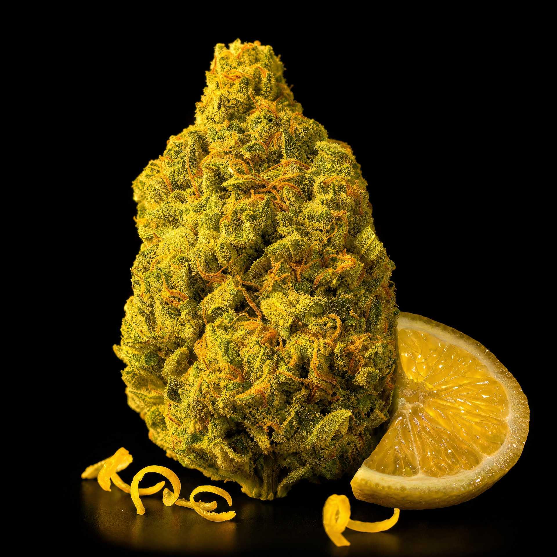LEMON HAZE