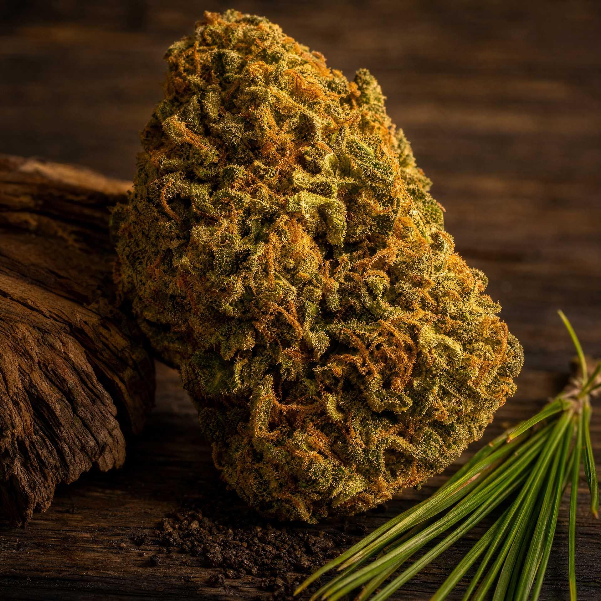 OG KUSH